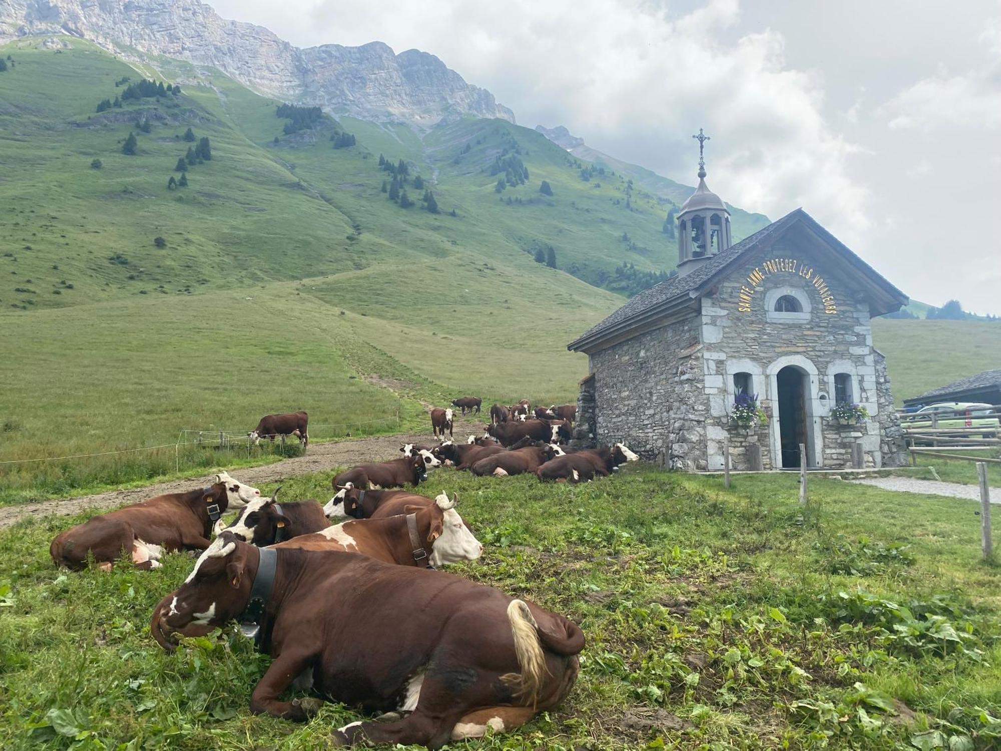 Bed and Breakfast Chez Laurette Et Louis Ugine Esterno foto
